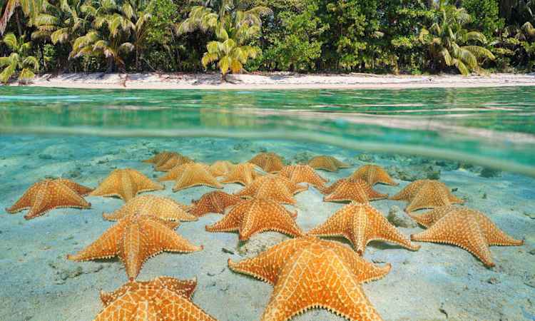 Bocas del Toro