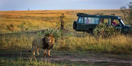 Half-day Game Drive Half-day Game Drive