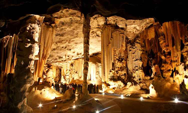 Fruit Route: Route 62 - Oudtshoorn Ostrich Farm - Cango Caves Excursion