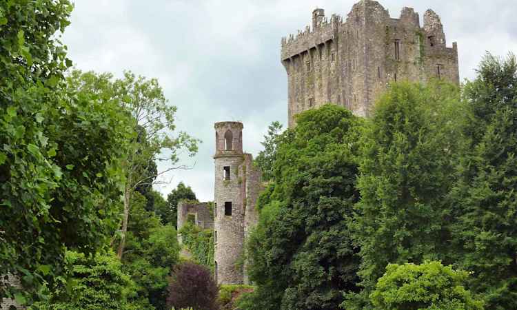 Irish Explorer