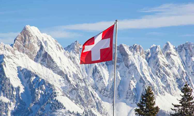 Burgundy - Swiss Alps