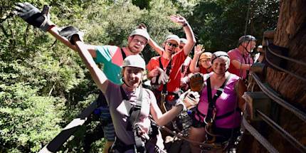 Tree Canopy Zip-lining Tree Canopy Zip-lining