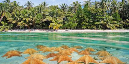 Bocas Island Hopper Day Trip Bocas Island Hopper Day Trip