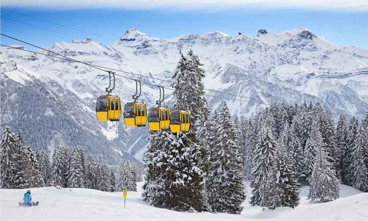 Burgundy - Swiss Alps