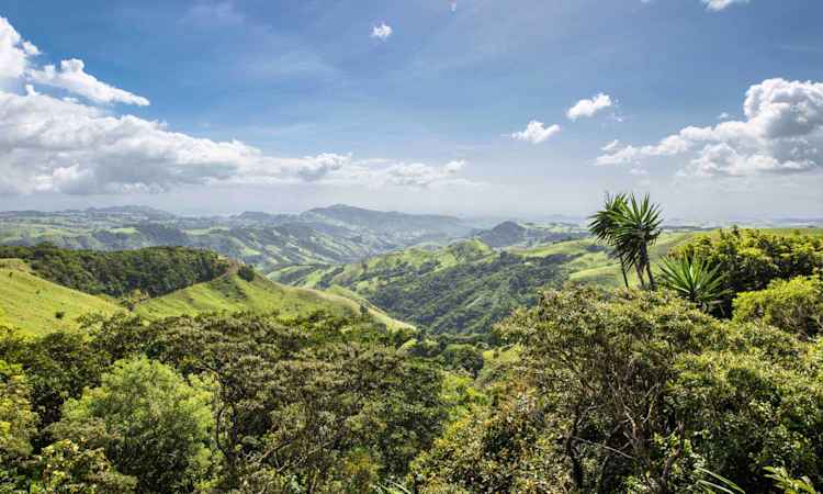 Monteverde