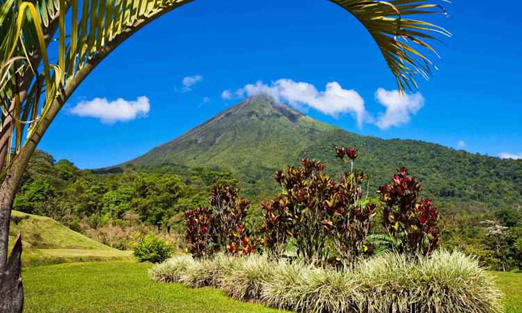 Arenal