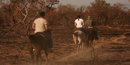 Horse Back Safari Horse Back Safari