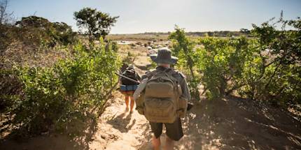 Guided Walking Tours Guided Walking Tours