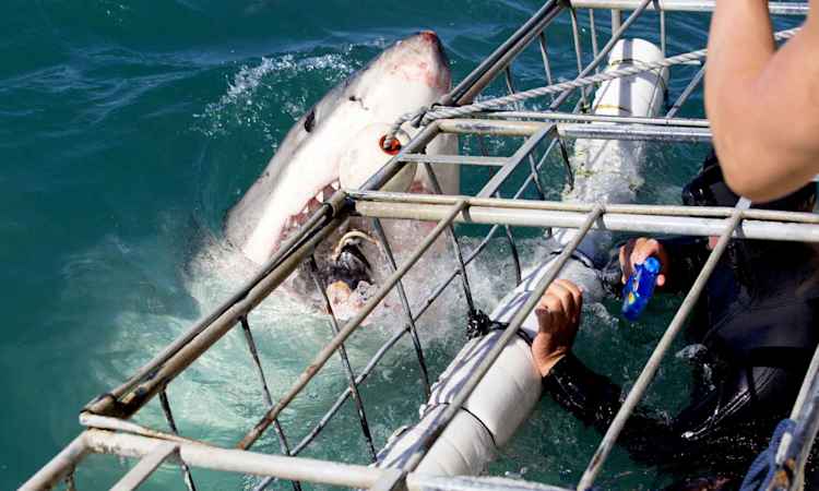 Hermanus - Swellendam - Mossel Bay