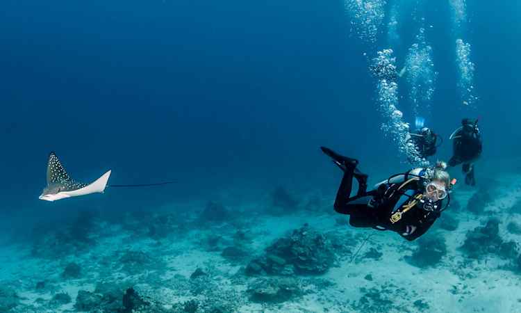 Red Sea - Hurghada