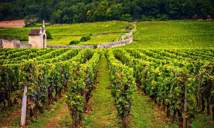 Paris - Burgundy - Lyon