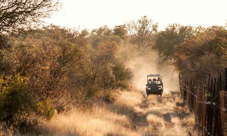Cape Town - Johannesburg - Mabula Lodge (Limpopo)