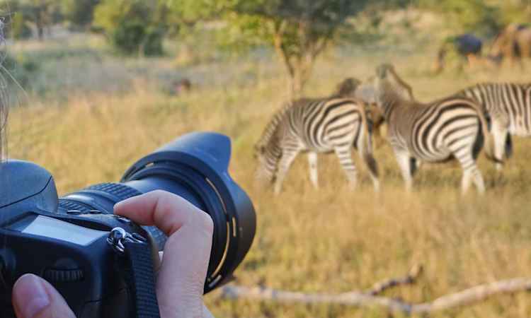Mabula Lodge - Johannesburg