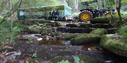 Tsitsikamma Woodcutters Trail Drive Tsitsikamma Woodcutters Trail Drive