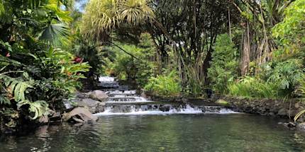 Arenal Hot Springs & Dinner Experience Arenal Hot Springs & Dinner Experience