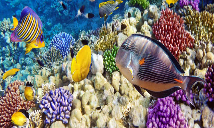 Hurghada