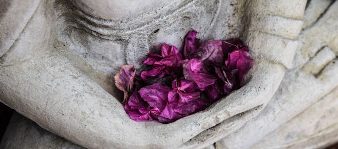 Feuilles colorées et statue