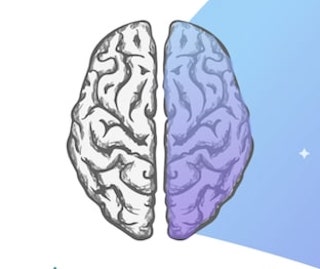 brain with ride region highlighted