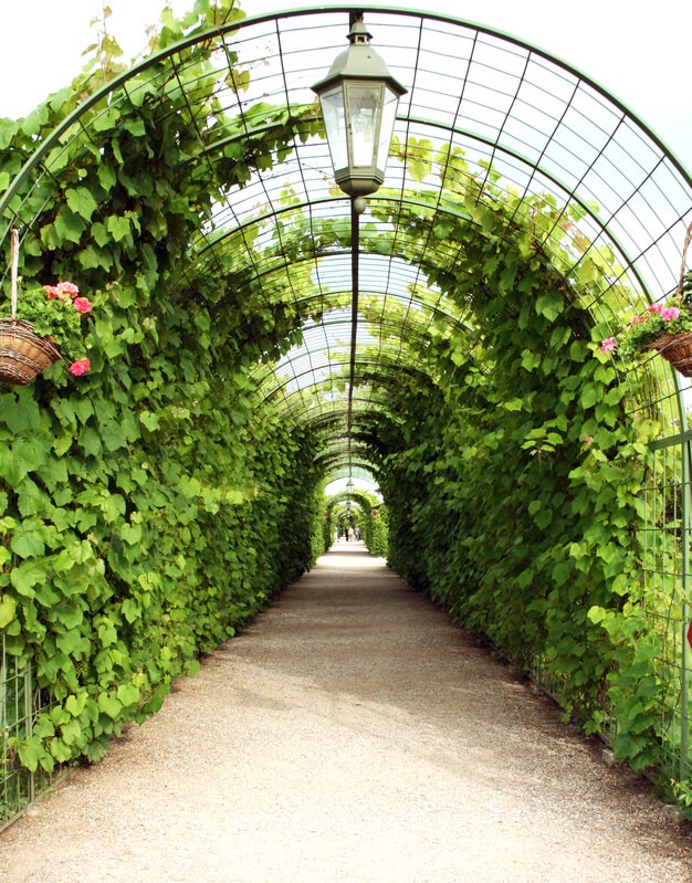 Using Trellises To Create Unique And Varied Garden Designs