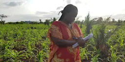 Dr Yeyinou Laura Estelle Loko does field work for her research. She is an Associate Professor of Zoology and Genetics at the National University of Sciences, Technologies, Engineering and Mathematics (UNSTIM) in the Republic of Benin.