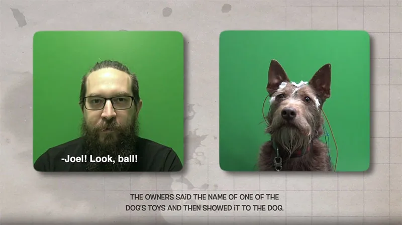 Screenshot of authors' video abstract for the article “Neural evidence for referential understanding of object words in dogs” in Current Biology, March 2024.