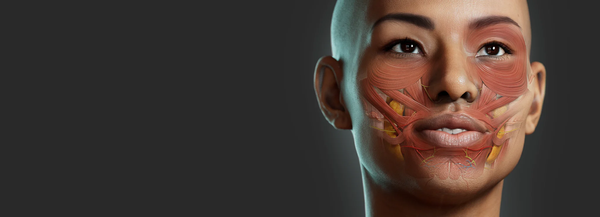 Complete Anatomy: transforma tus clases de enfermería