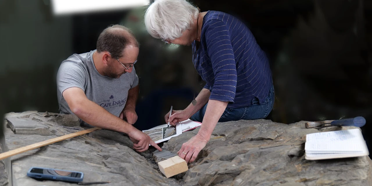 Co-authors Matt Stimson, Assistant Curator of Geology/Paleontology at the New Brunswick Museum, and Prof Patricia Gensel of UNC Chapel Hill record observations about fossilized tree (Photo by Alan Graham)