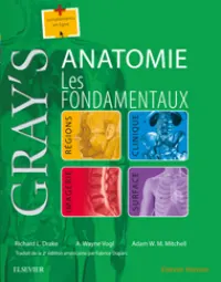 Gray-s Anatomie - Les fondamentaux