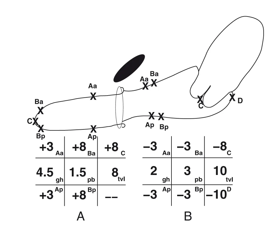 Figure 6.6