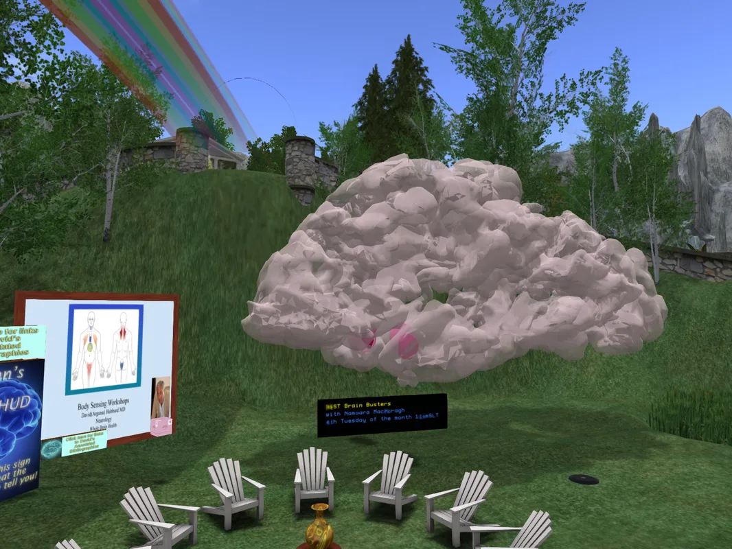 Model of the human brain in Second Life