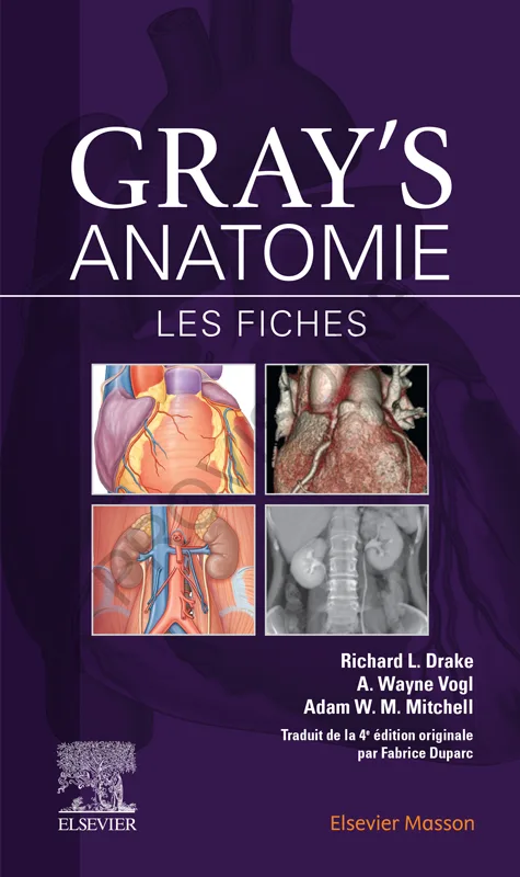 Fiches