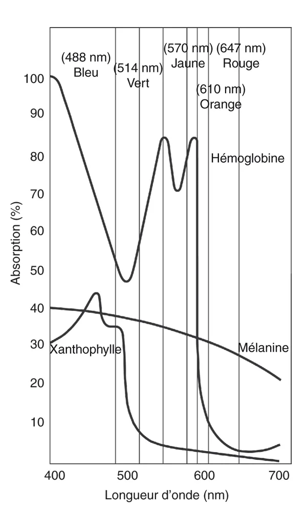 Spectre d’absorption de la xanthophylle, de l’hémoglobine et de la mélanine