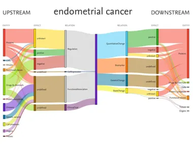 This Sankey diagram was produced from data within Elsevier’s Biology Knowledge Graph and shows relationships among the disease endometrial cancer and associated entities, including drugs and proteins. Source: EmBiology