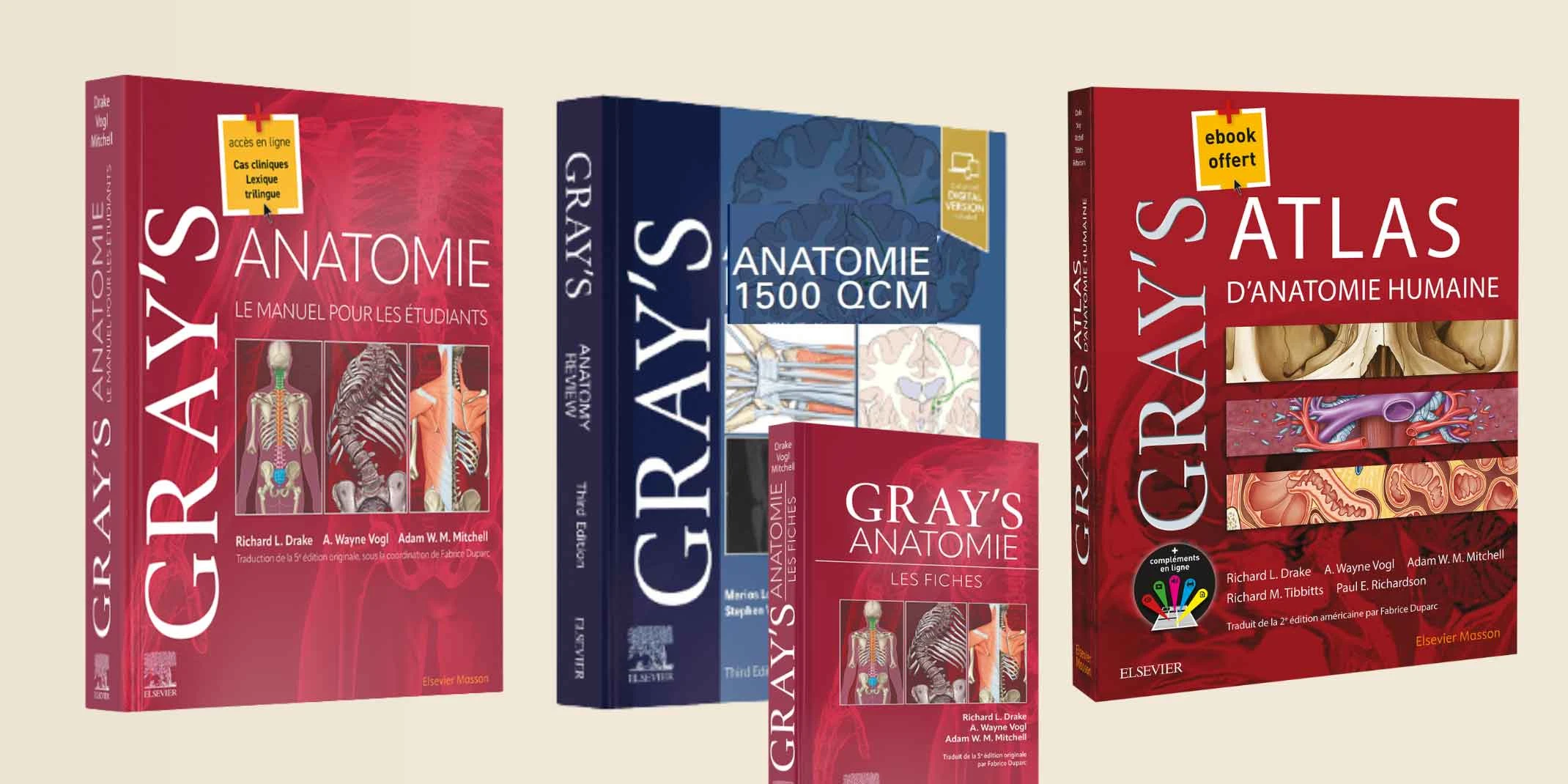 GRAY'S ANATOMIE