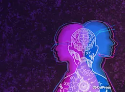 Abstract illustration of different genders