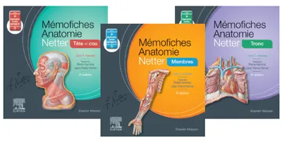 Memofiches anatomie netter