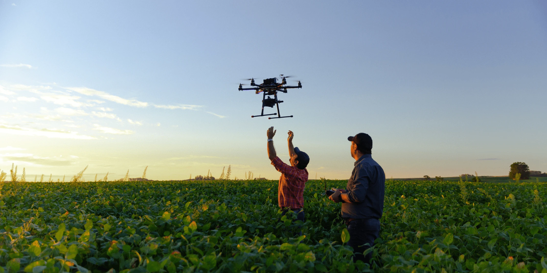 Drone no copyright in a soybean field