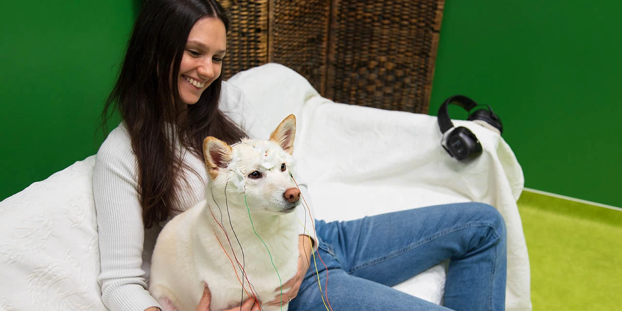 Researchers measured brain activity of dogs using non-invasive EEG with the owners taking part in the experiment. Watch a video below and read their article in Current Biology. (Photo by Oszkár-Dániel-Gáti)