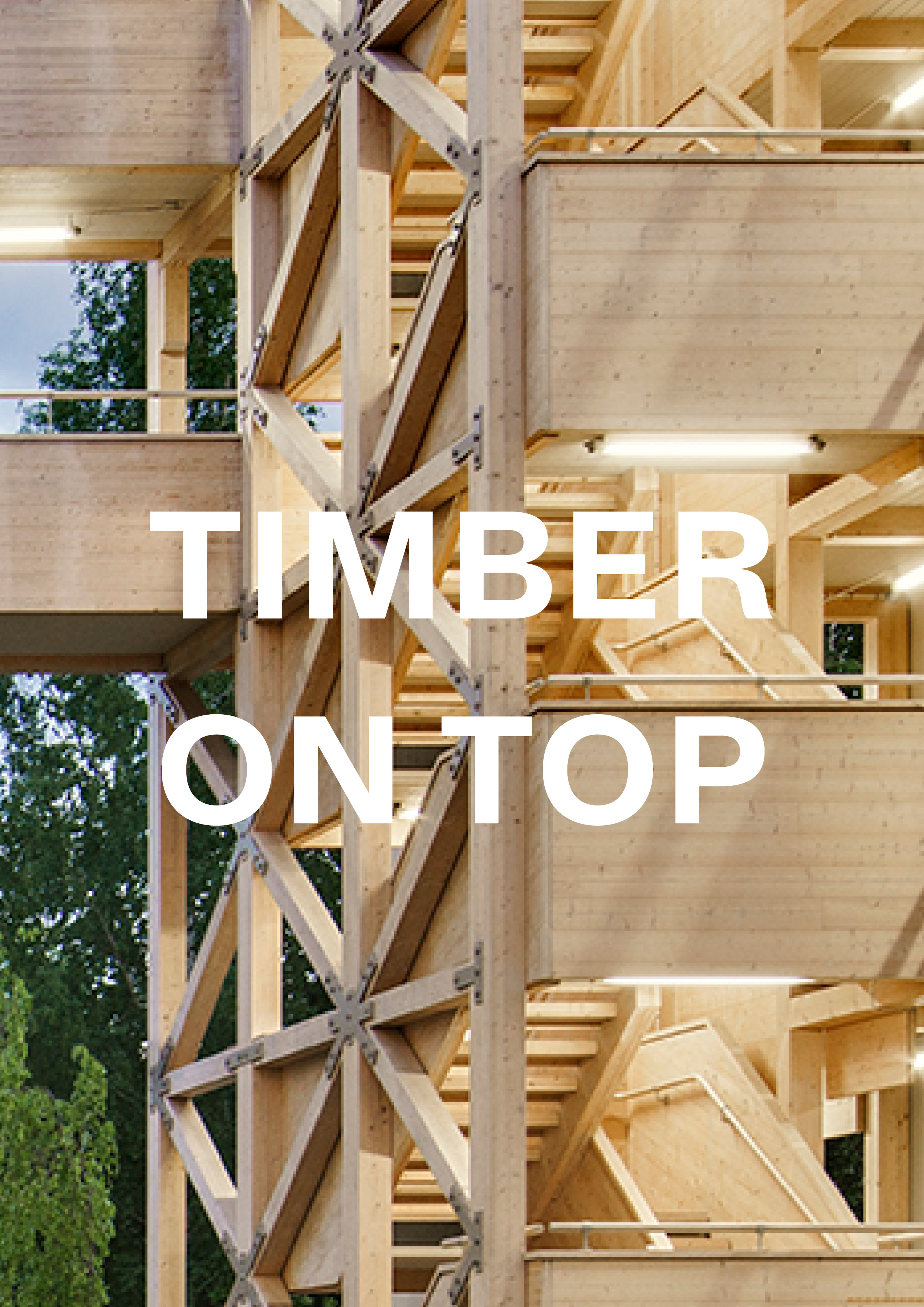 Lab Timber on top