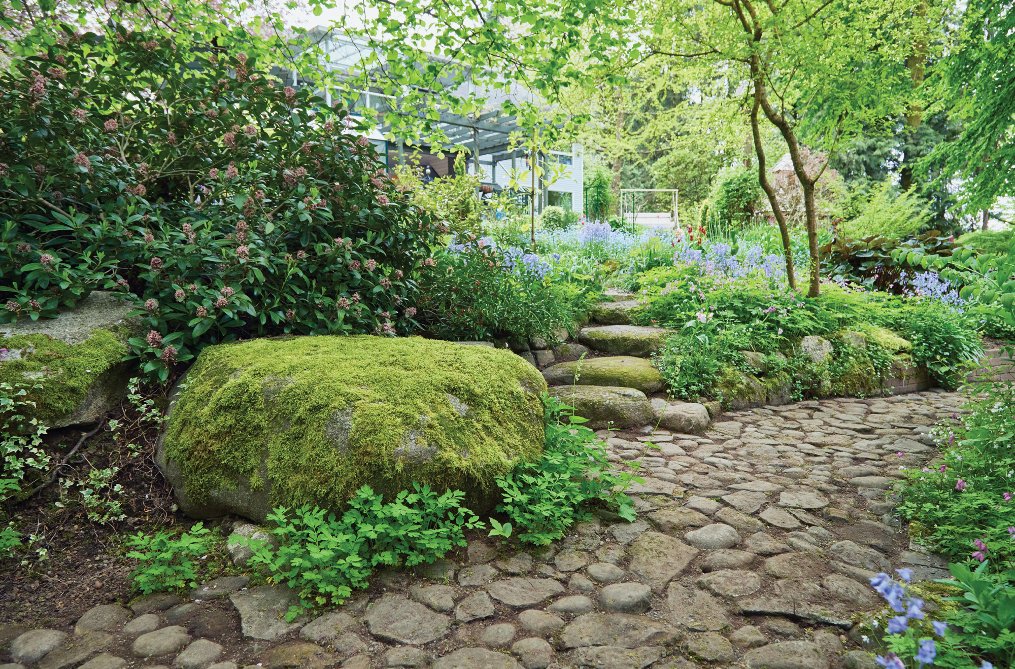 GG186 FG Staunton photo 4 stone work: Some stones are just too large to move. This beauty’s position directed how the rest of the landscape flowed around it.