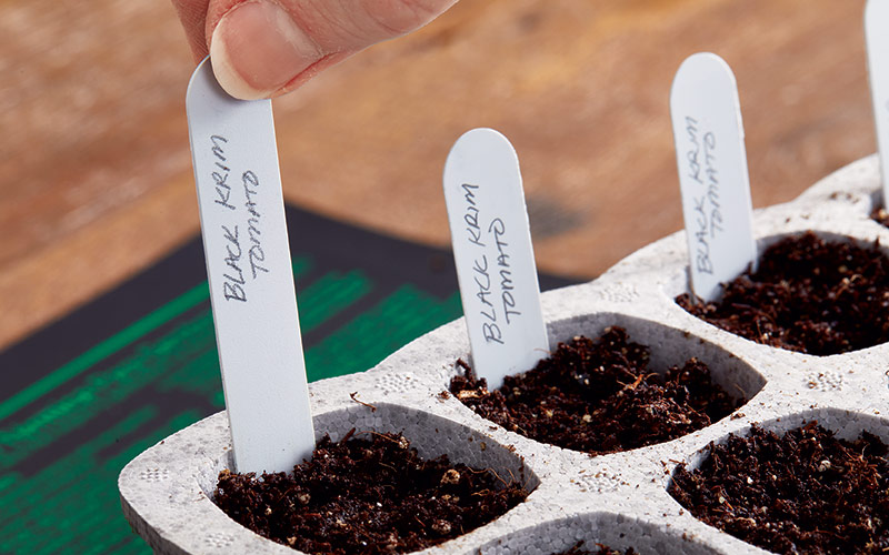 starting-seeds-indoors-labeling-seedlings