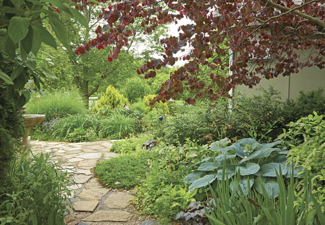 householder-bkyd-oasis: Add structure and year-round appeal by mixing conifers like the two false cypress shrubs in the bed at the end of this path into flower borders. 
