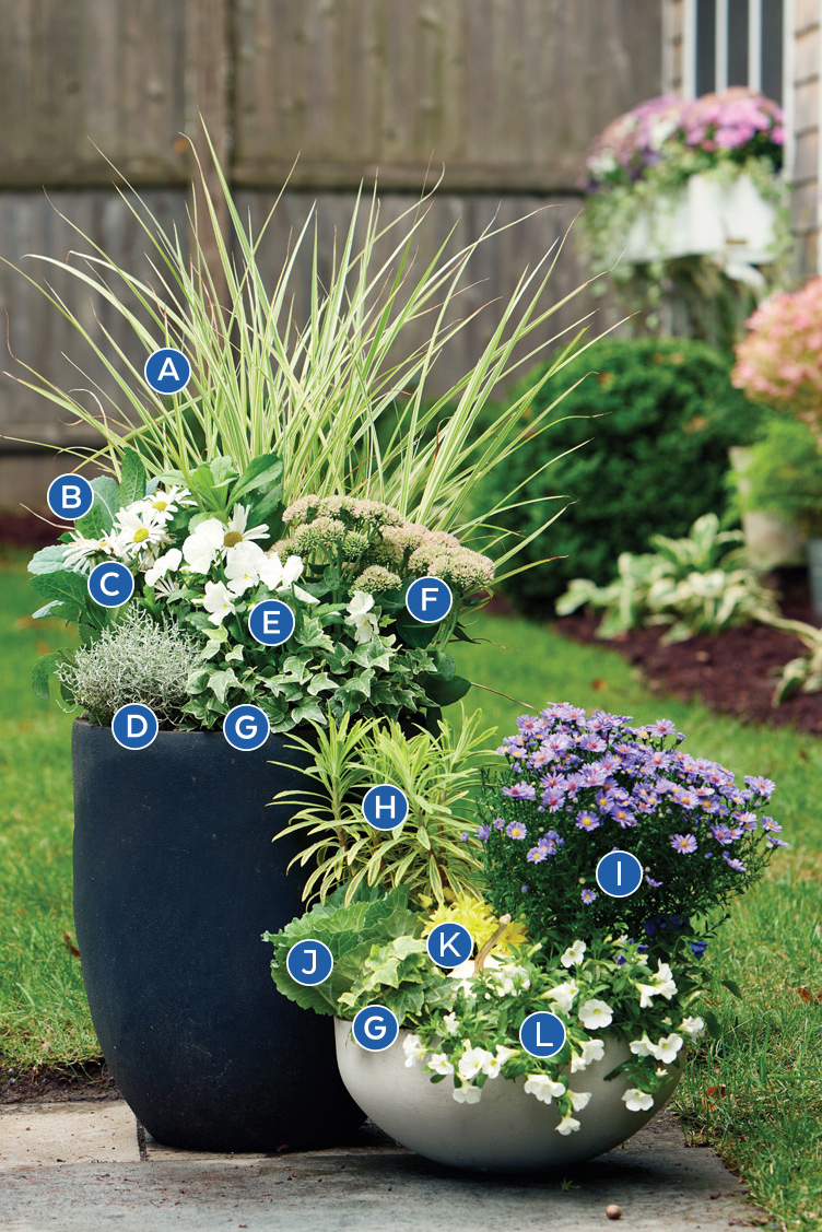 GG188 Susan-Nock-Fall-Container-grouping labelled: This grouping of fall cool-toned containers is a perfect way to draw attention to an entrance or garden path.