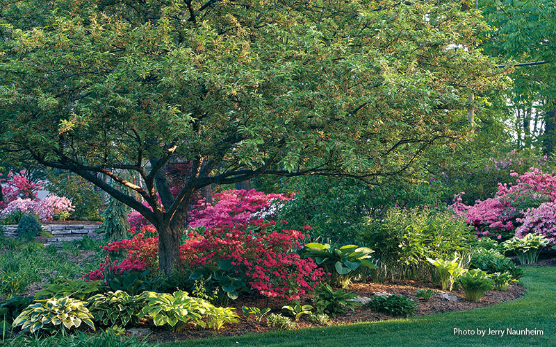 6-ways-to-create-a-beautiful-spring-garden-Balance: Vibrant colors, such as pinks, reds and oranges, draw your attention. But they also provide a sense of warmth among all the cool greens and cool days of spring.