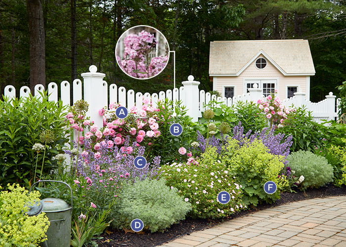 Clark cottage garden plant palette: Mounding perennials like catmint fill the front of the borders. Keep it reblooming all summer by shearing it back after each flush of blooms fade.