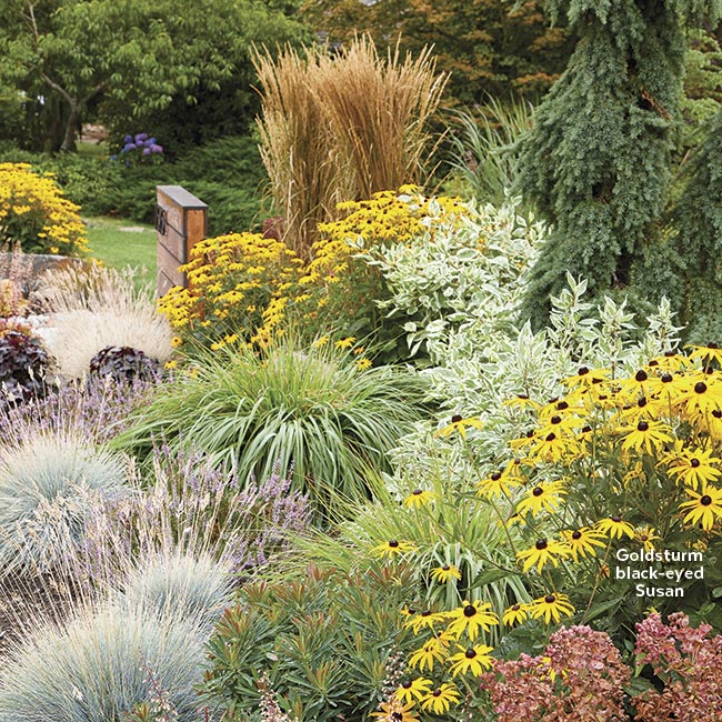 garden-border-color-palette: Washington has lots of gray and rainy days so Courtney uses sunset tones—yellow, orange, red and purple — to add warmth.