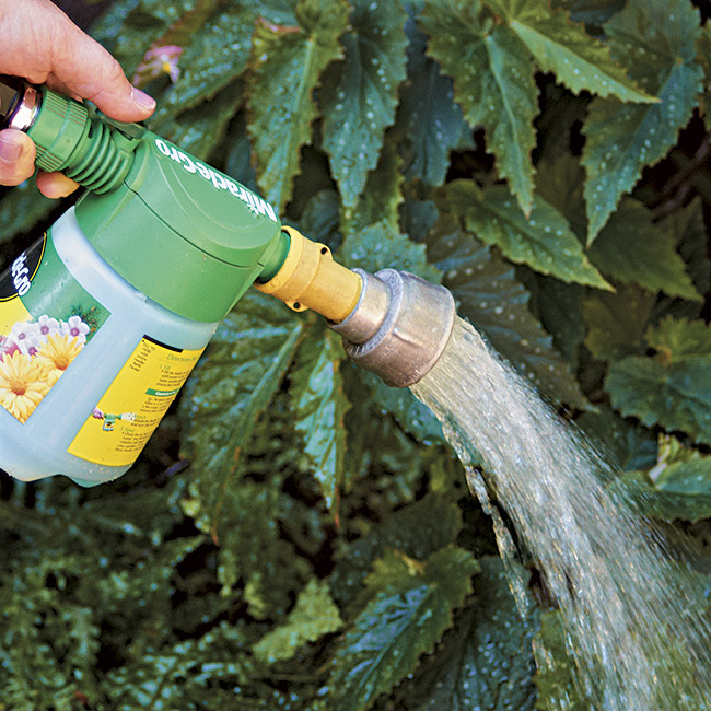 spraying water soluable fertilizer: A hose-end sprayer is great for spraying water-soluble fertilizer in large areas.