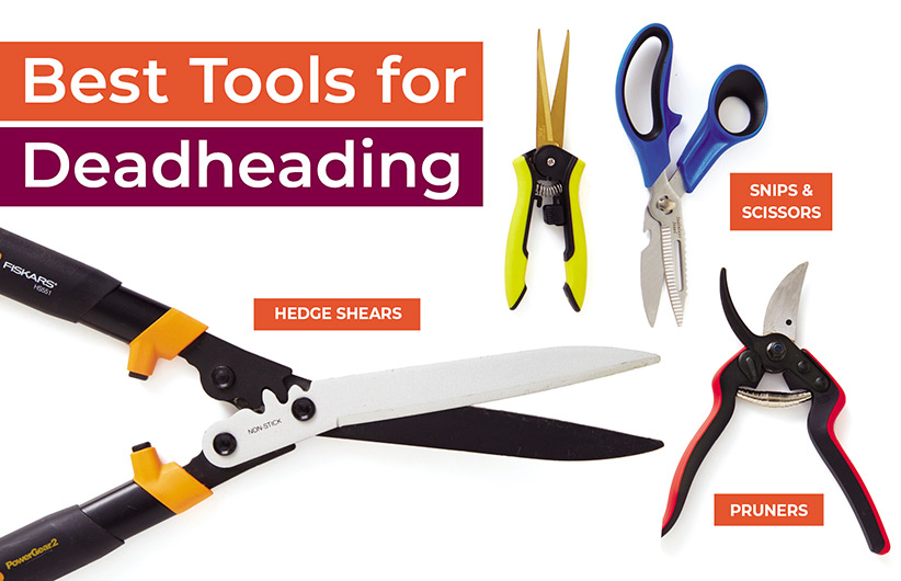 Best tools for deadheading