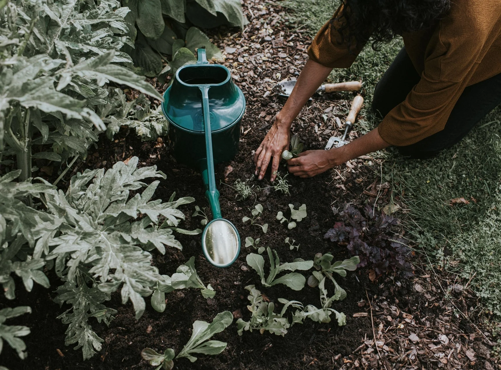 DSC 7660-min 1728x: A stylish and functional watering can for garden lovers.
