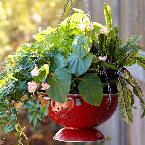 Upcycle an aluminum colander into a hanging planter: Upcycled a colorful colander into a hanging planter.